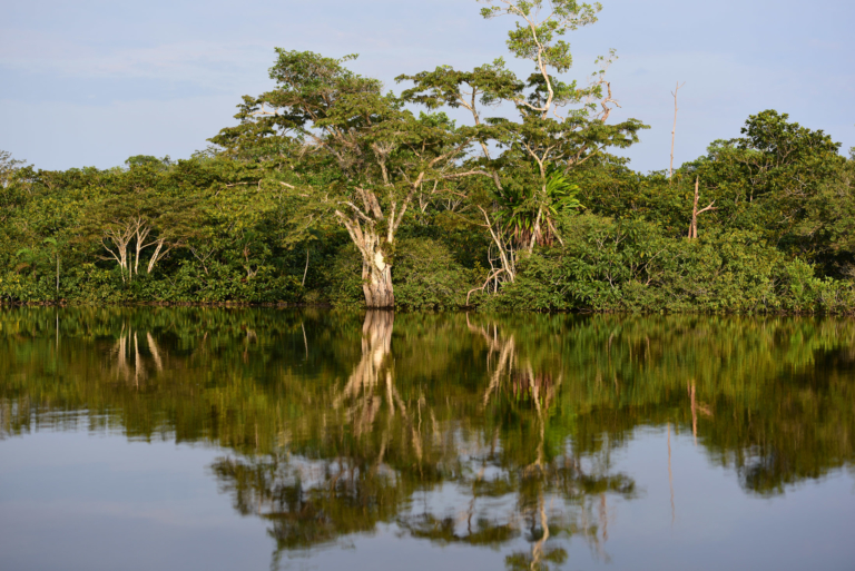 Cuyabeno Wildlife Reserve Boattrip 