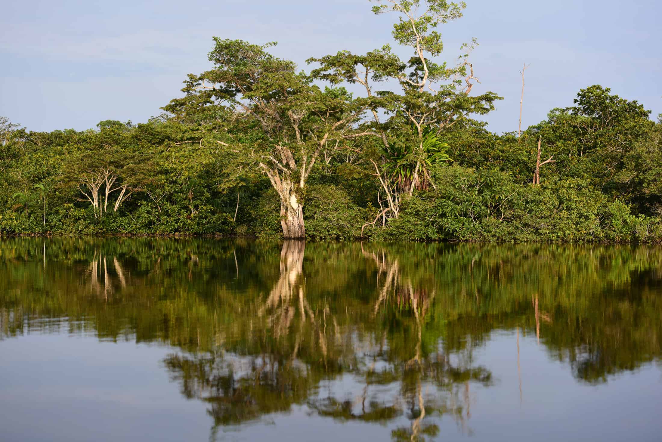 Cuyabeno wildlife reserve boattrip | Monika Salzmann – Travel Photography