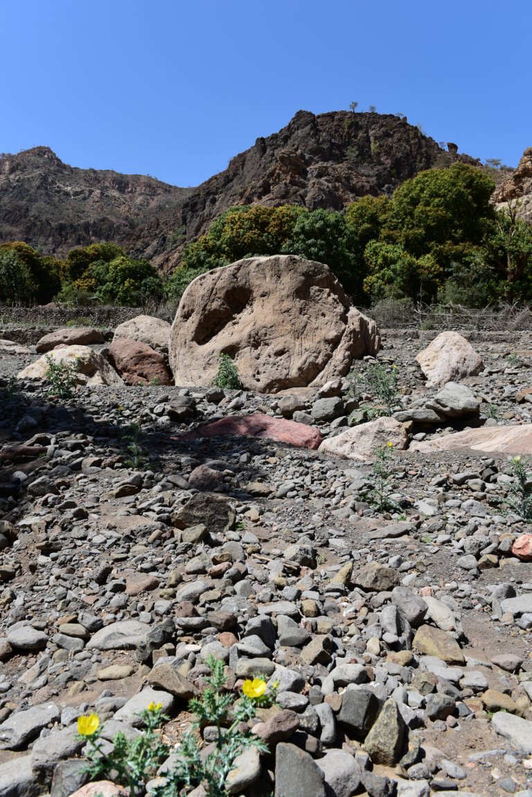 Goda mountains  Bankouale Djibouti  Monika Salzmann 