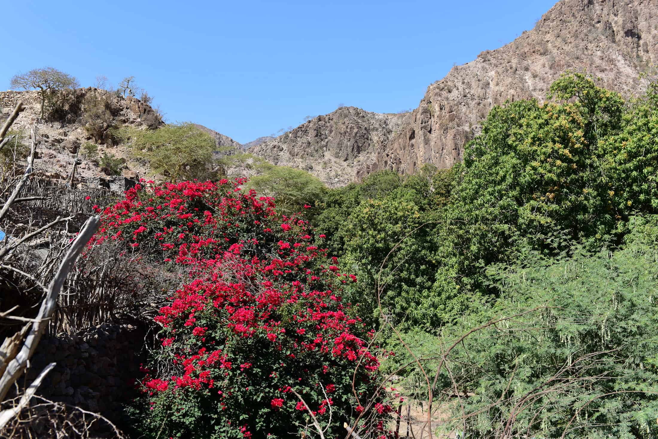 Goda mountains  Bankouale Djibouti  Monika Salzmann 